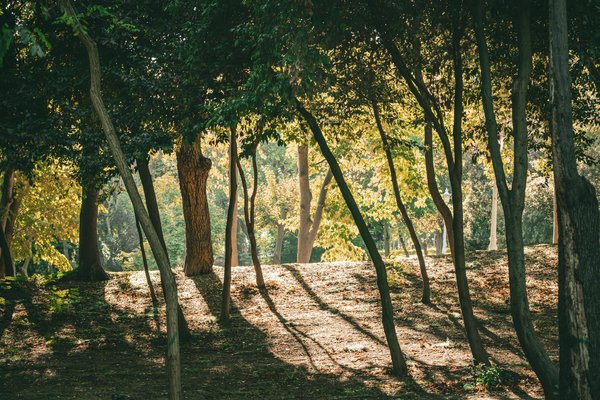 Vente et achat de pharmacies : stratégies essentielles à connaître